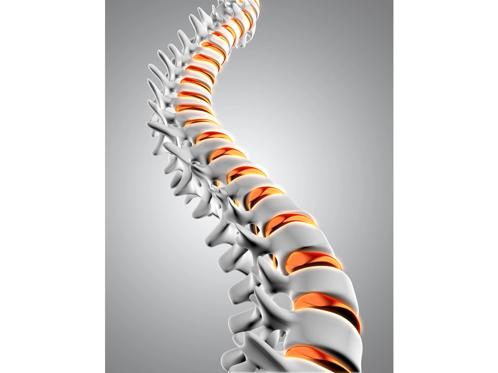 Σπονδυλική Στήλη